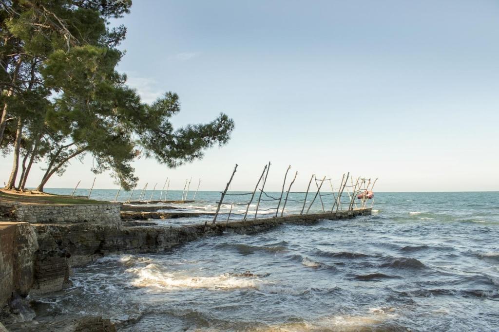 Villa Franka Bašanija Exteriör bild