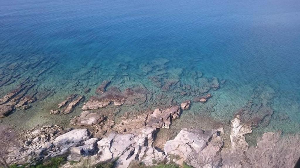 Villa Franka Bašanija Exteriör bild