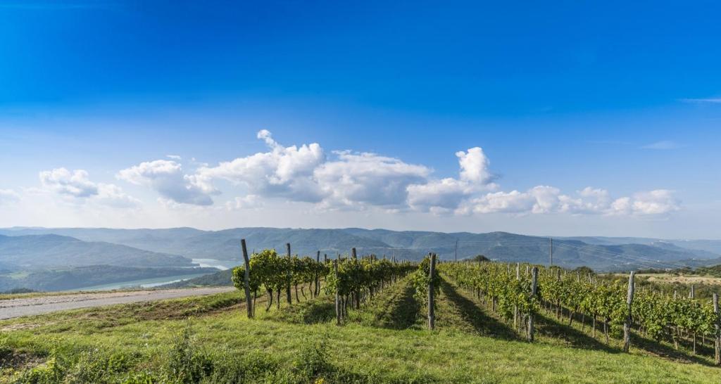 Villa Franka Bašanija Exteriör bild